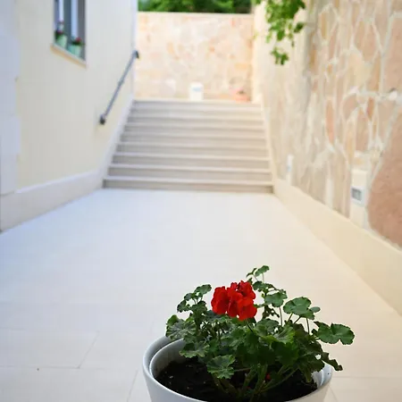 Hvar Malisko هفار